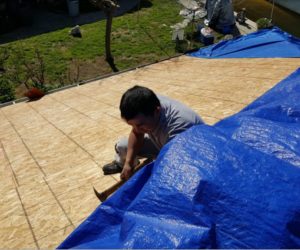 Pitched roof in process